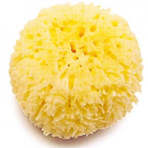 ImagenR5